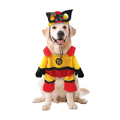 Best Furry Friends Superhero Pet Costume