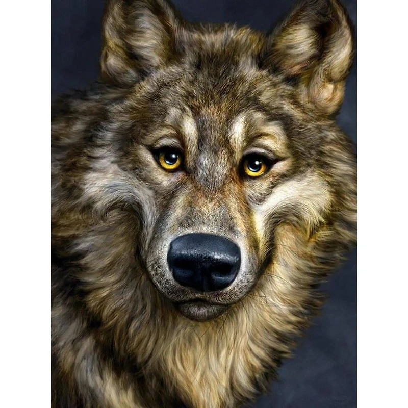 Crafting Spark Wolf Diamond Painting Kit
