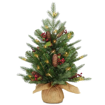 2ft. Pre-Lit Nordic Spruce® Artificial Christmas Tree, Warm White LED Lights
