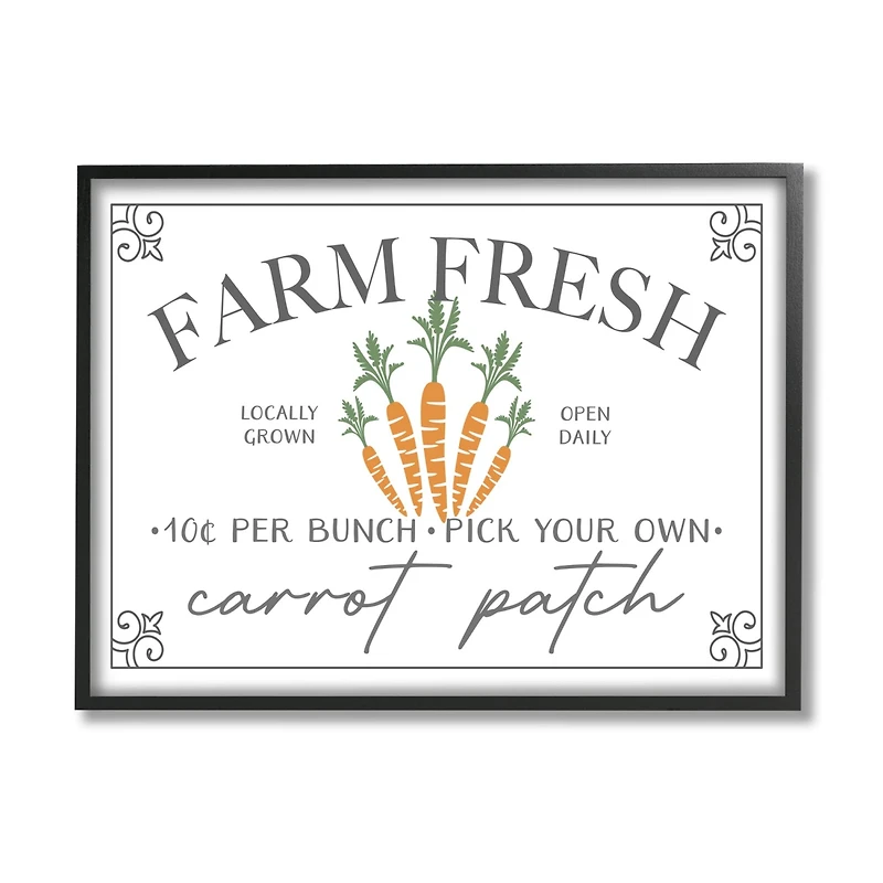Stupell Industries Farm Fresh Carrot Patch Seasonal Springtime Vegetables Framed Giclee Art