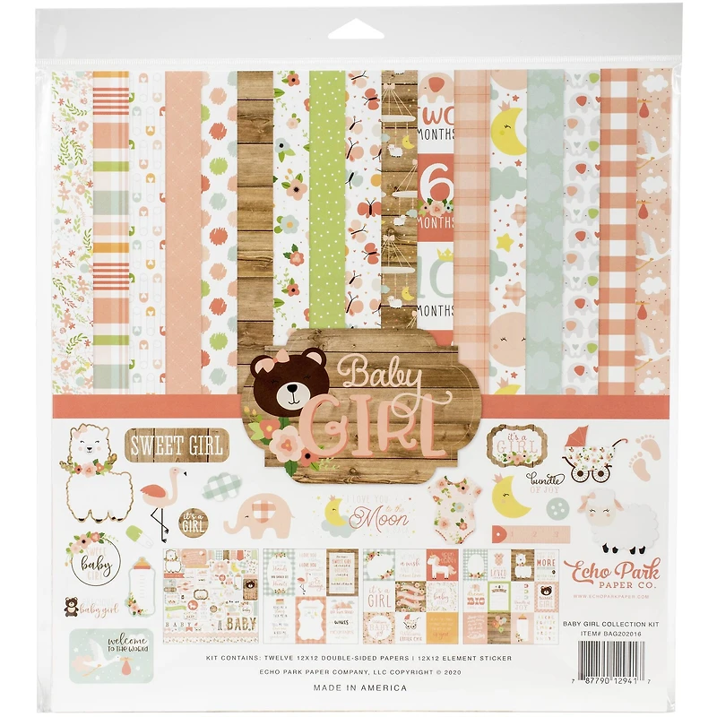 Echo Park™ Paper Co. Baby Girl Collection Kit, 12" x 12"