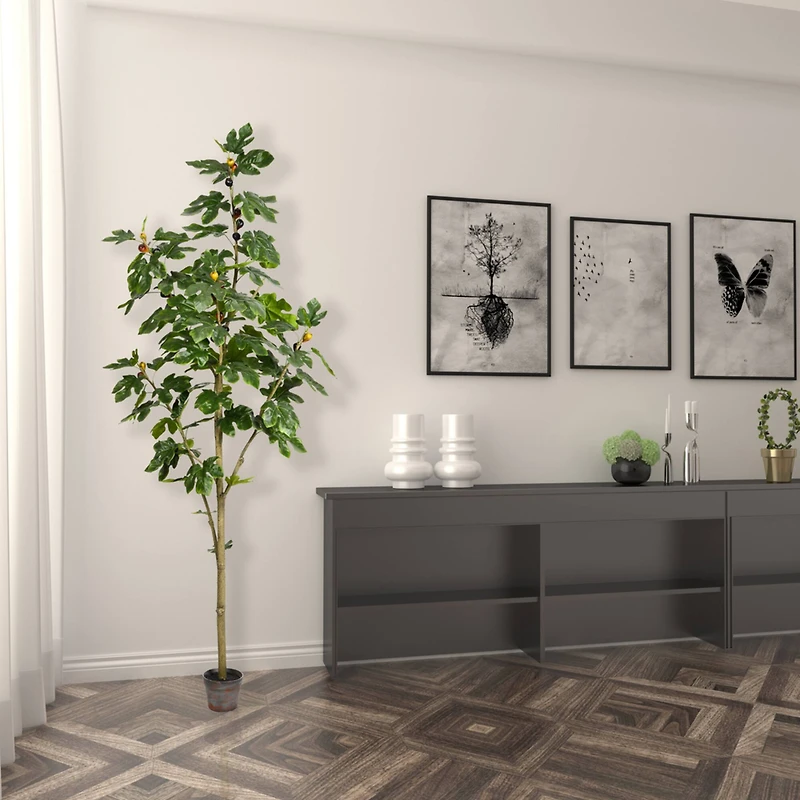 7ft. Potted Fig Tree