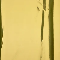 20 Packs: 5 ct. (100 total) Gold Foil Tissue by Celebrate It™