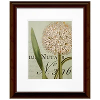 Timeless Frames® Botanique Blue II Framed Wall Art