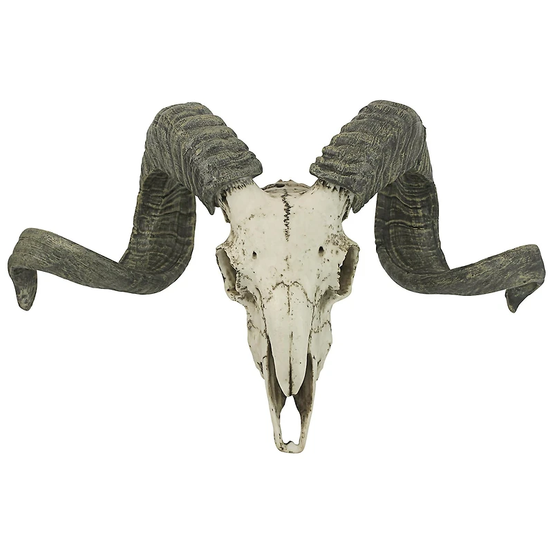 Design Toscano 11.5" Faux Corsican Ram Skull Wall Sculpture 
