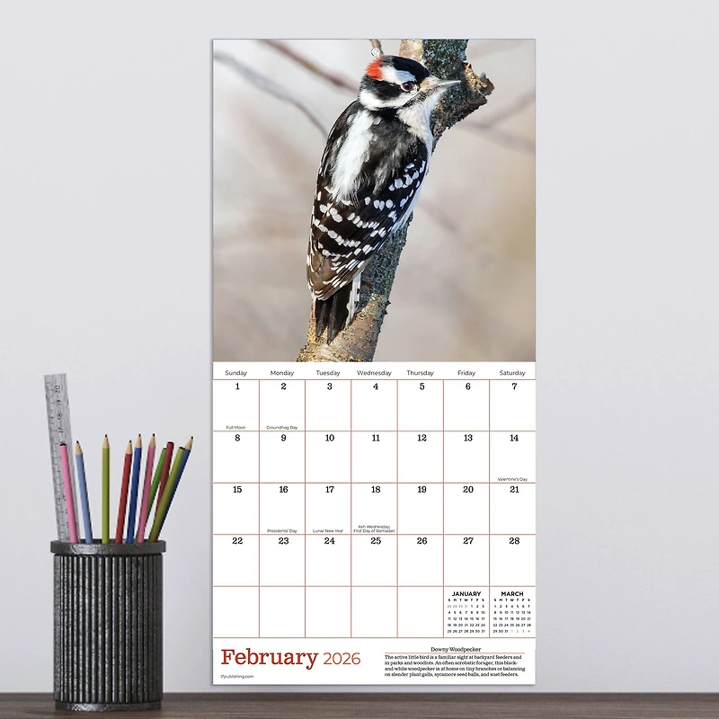 2026 Backyard Birds Mini Calendar