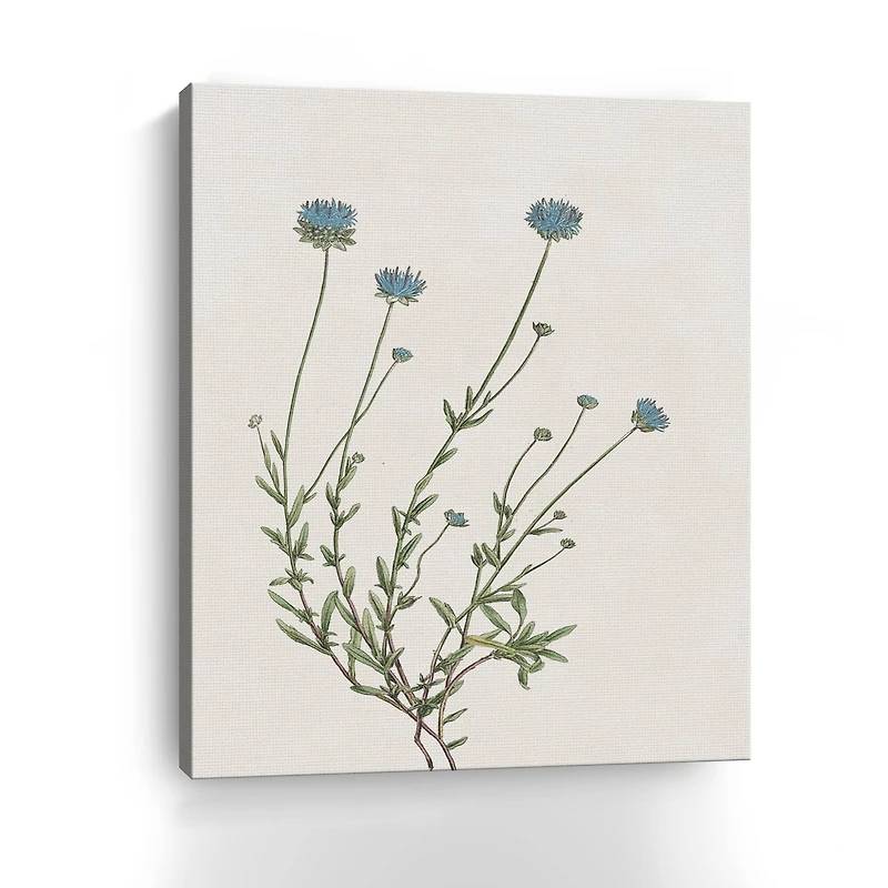 Blue Wispy I Canvas Giclee