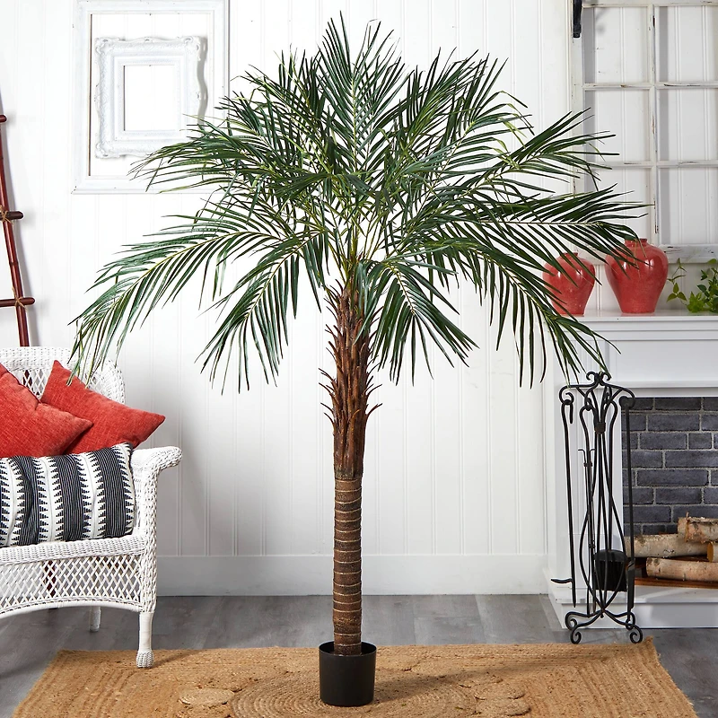 6ft. Potted Robellini Palm Tree