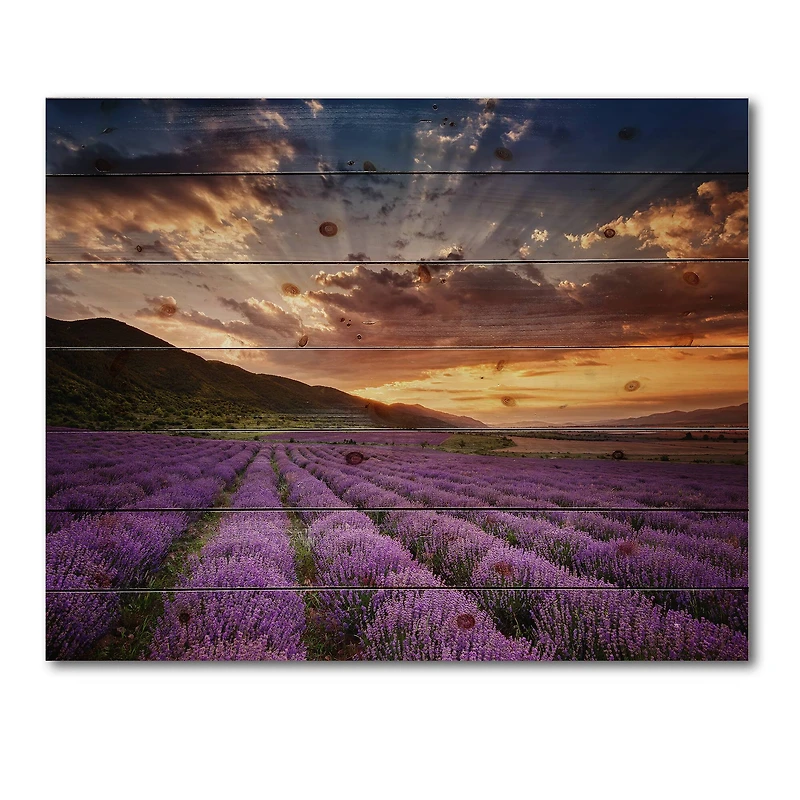 Designart - Sunrise & Dramatic Clouds Over Lavender Field X