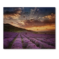 Designart - Sunrise & Dramatic Clouds Over Lavender Field X
