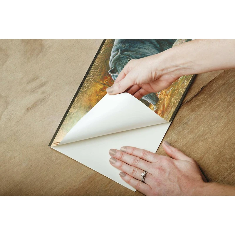 RoomMates Wildlife Medley Border