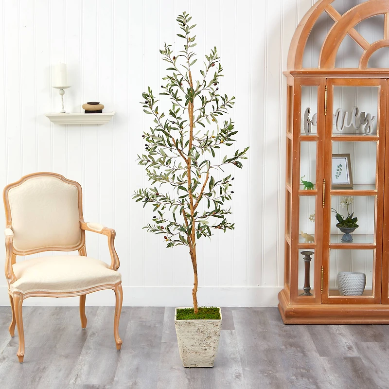 6ft. Olive Artificial Tree in Country White Planter