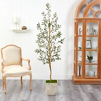 6ft. Olive Artificial Tree in Country White Planter
