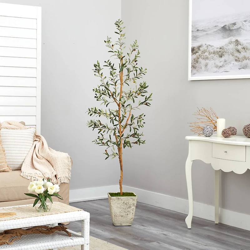 6ft. Olive Artificial Tree in Country White Planter