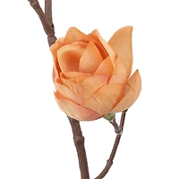 34" Peach Hops Stem by Ashland®