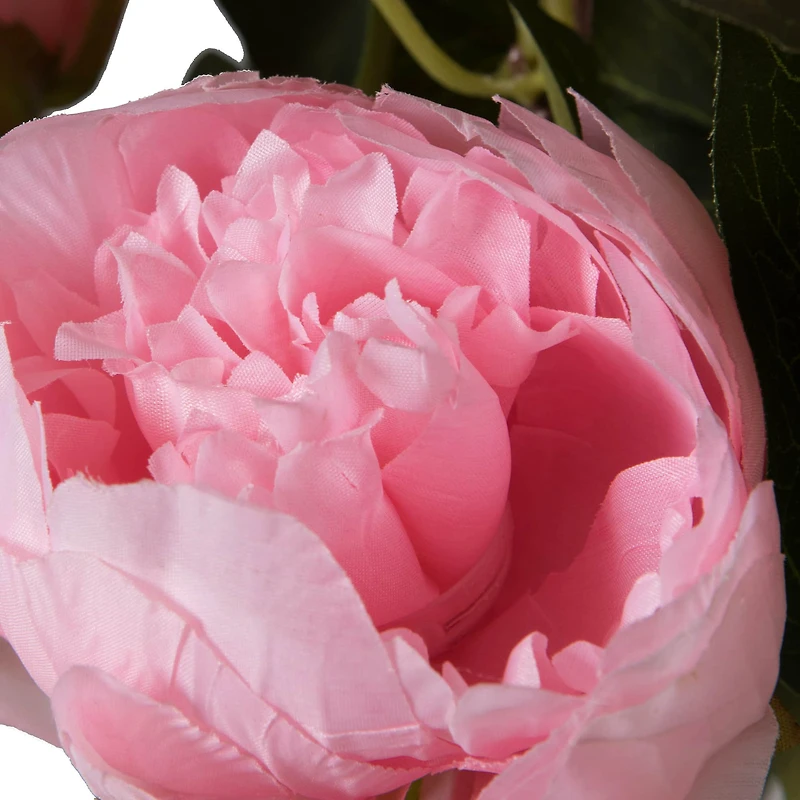 23" Artificial Brush Pink Peony Spray with 6 Flowers