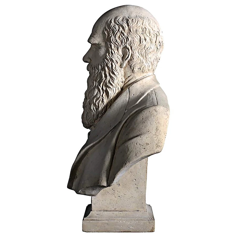 Design Toscano 27" The Evolution of Charles Darwin Bust Statue