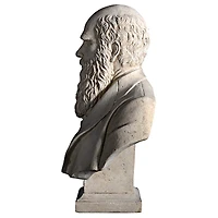Design Toscano 27" The Evolution of Charles Darwin Bust Statue
