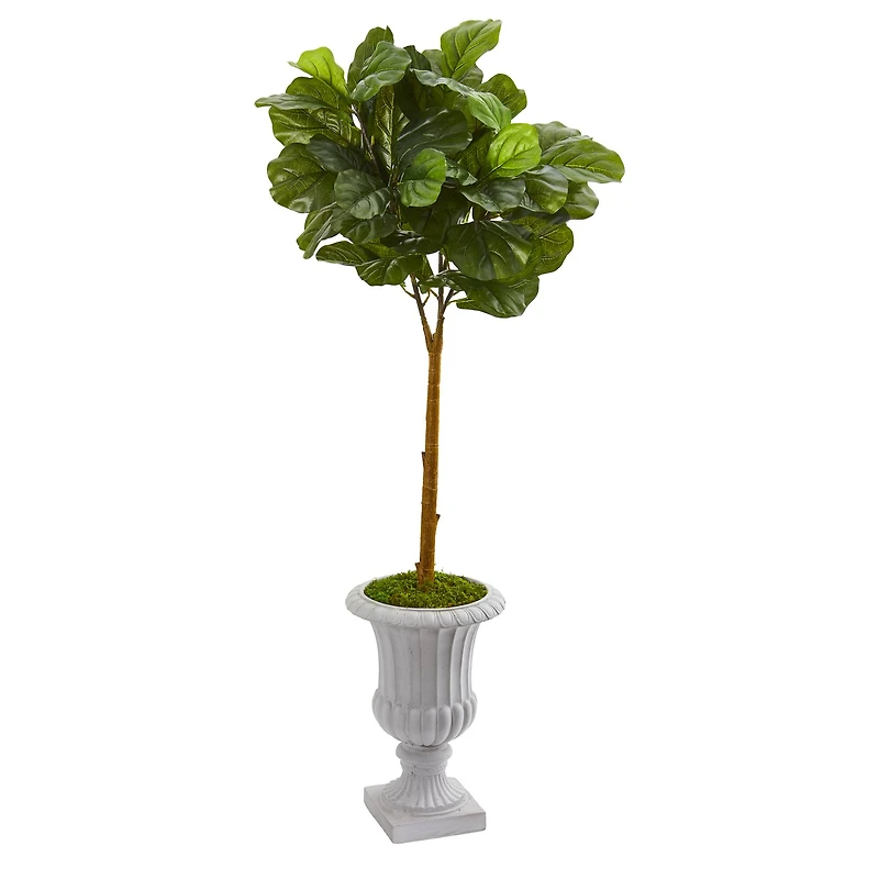 4ft. Fiddle Leaf Tree in Decorative Urn