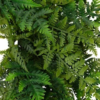 28" Artificial Fern Spring Twig Wreath