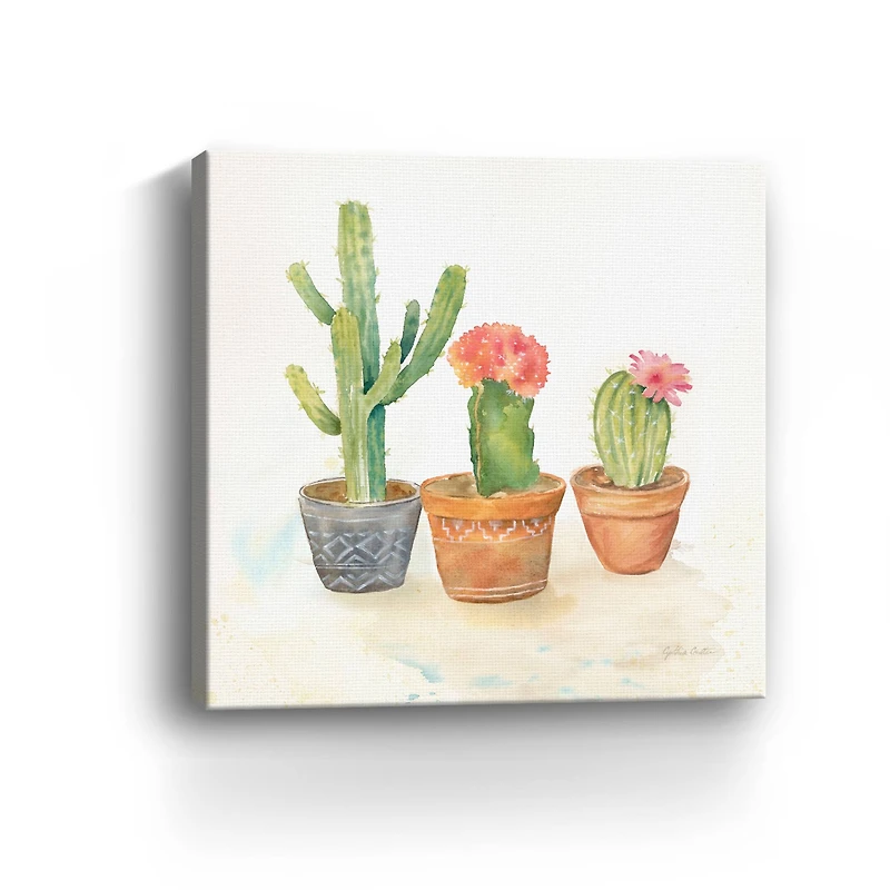 Cactus Pots III Canvas Giclee