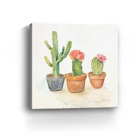 Cactus Pots III Canvas Giclee