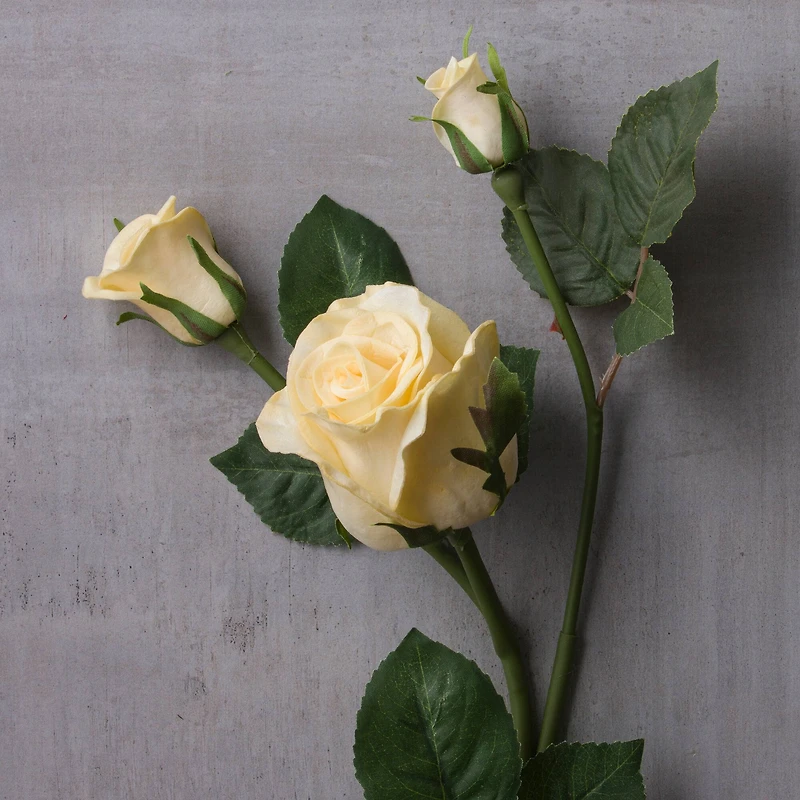 6 Pack: White Rose Spray by Ashland®