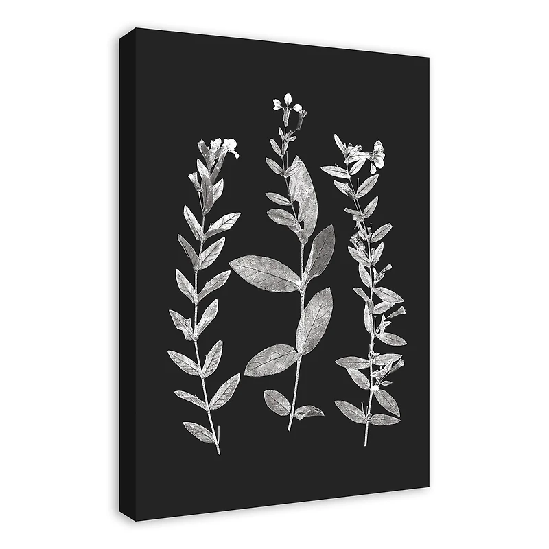 Designs Direct Pressed Flowers Canvas Wall Art