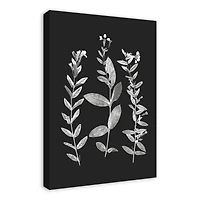 Designs Direct Pressed Flowers Canvas Wall Art