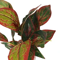 14" Croton Artificial Plant with Geometric Patterned Pot