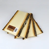 Wilson® Enterprises 8" x 11" Basswood Planks, 4ct.