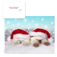 Hortense B. Hewitt Co. Christmas Cats Holiday Cards