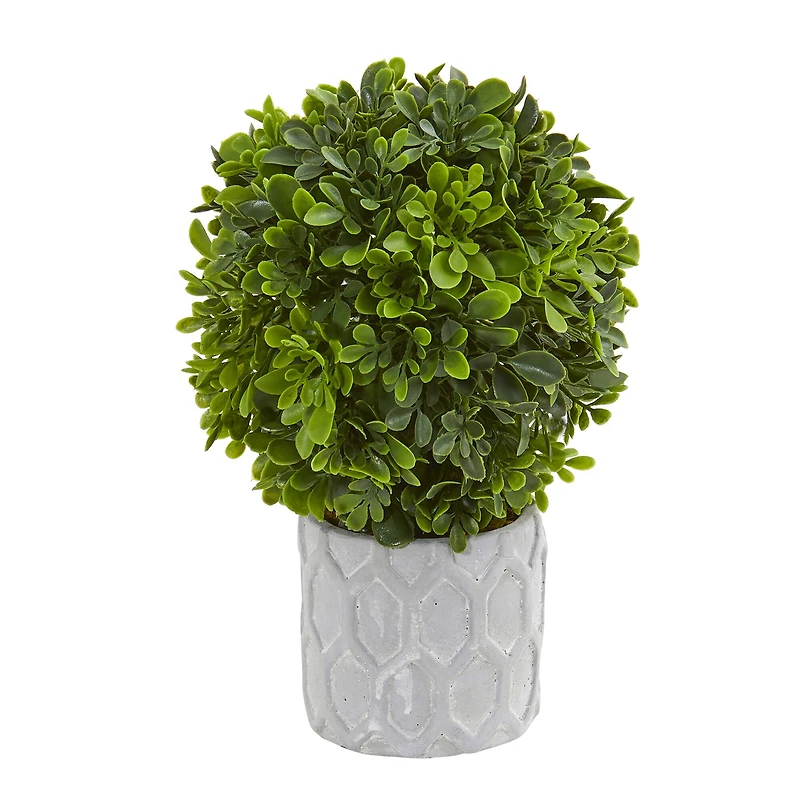 9" Potted Boxwood Mini Topiary, 3ct.