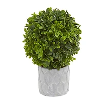 9" Potted Boxwood Mini Topiary, 3ct.