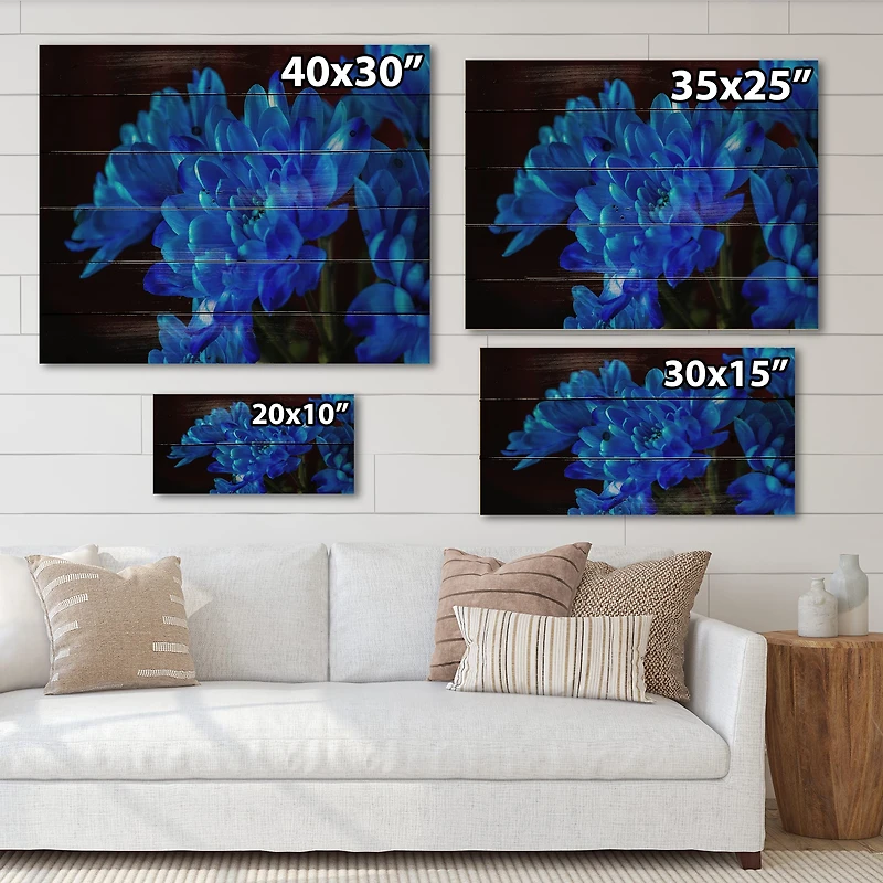 Designart - Blue Chrysanthemum Flowers On Black II