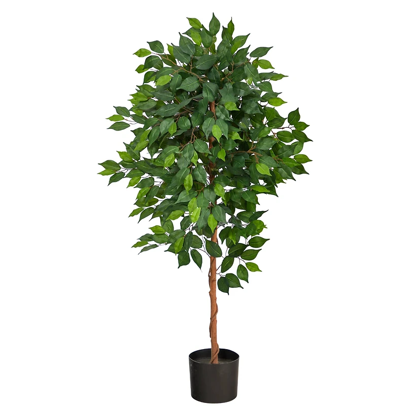 4ft. Potted Ficus Tree