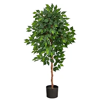 4ft. Potted Ficus Tree