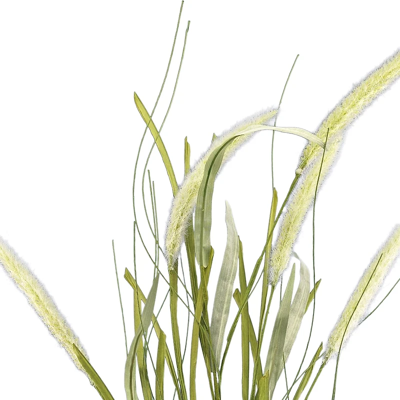 36" Cream Bunny Tail Stem by Ashland®