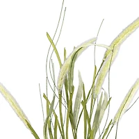 36" Cream Bunny Tail Stem by Ashland®