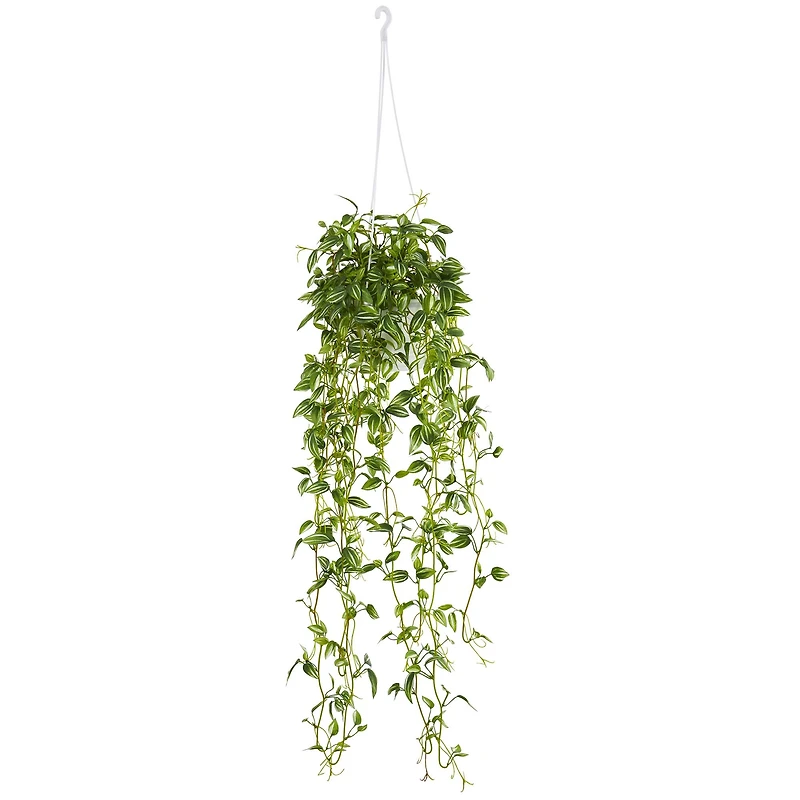 3ft. Green Variegated Wandering Jew Hanging Basket