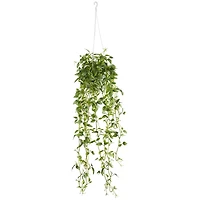 3ft. Green Variegated Wandering Jew Hanging Basket