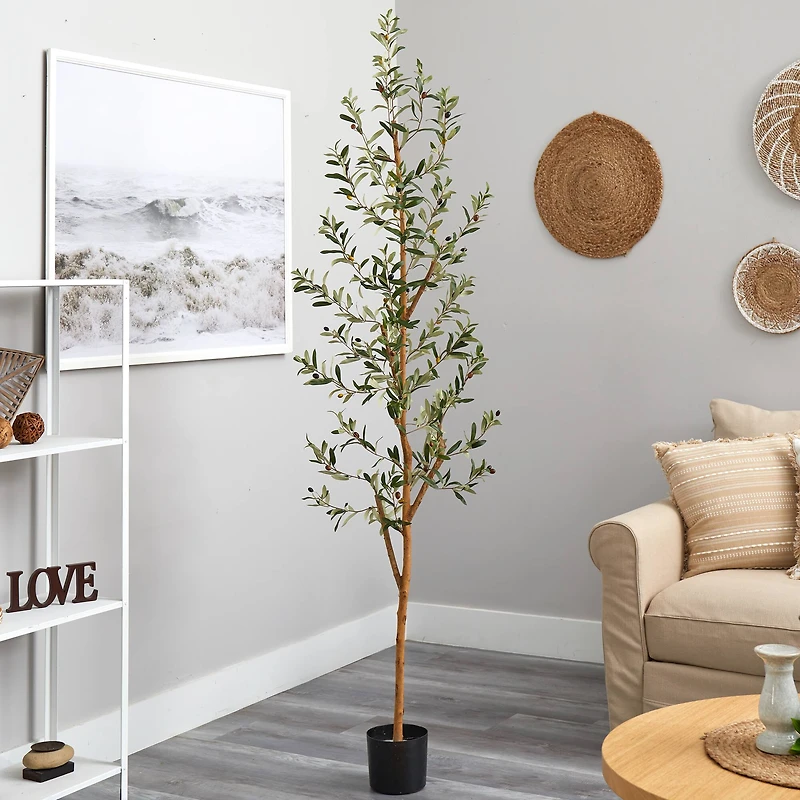 6.8ft. Potted Olive Tree