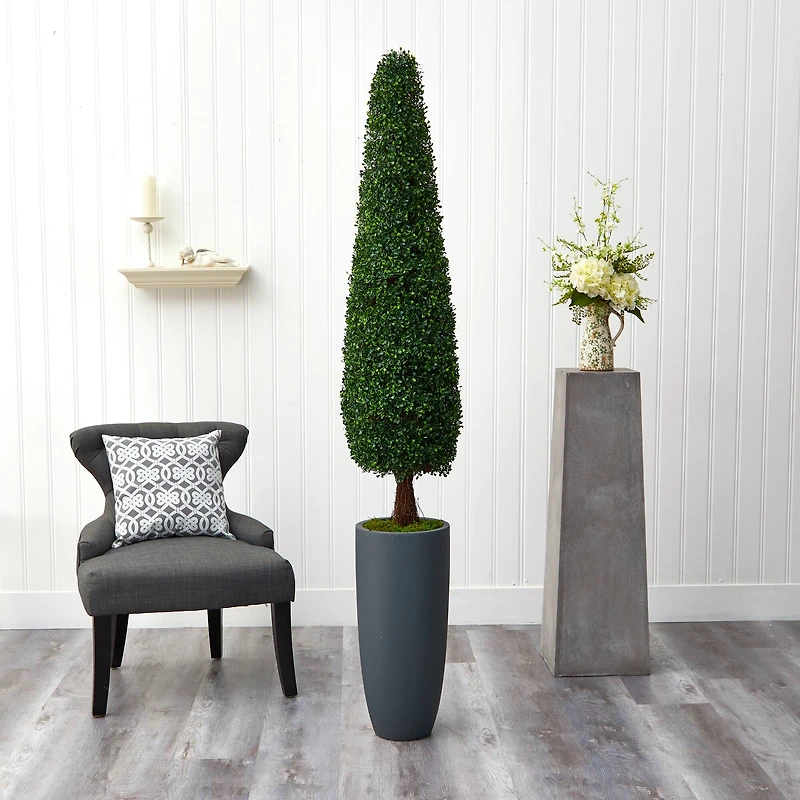 6ft. Boxwood Topiary in Tall Gray Planter