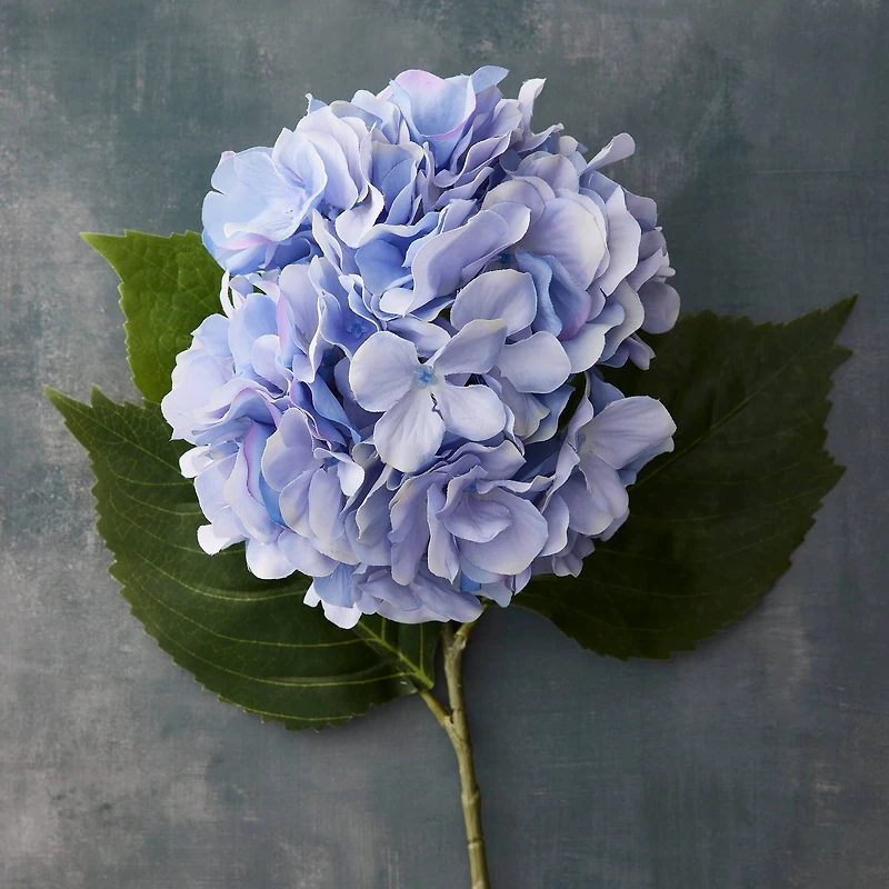 12 Pack: Blue Hydrangea Stem by Ashland®