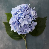 12 Pack: Blue Hydrangea Stem by Ashland®