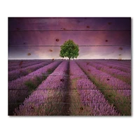 Designart - Stunning Lavender Field Summer Sunset With Tree
