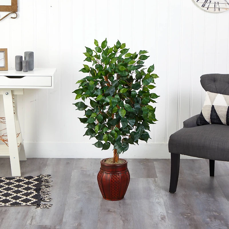 3.5ft. Ficus Tree in Decorative Planter