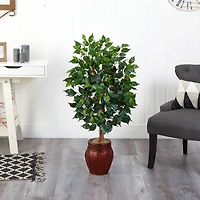 3.5ft. Ficus Tree in Decorative Planter