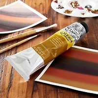 Winsor & Newton™ Galeria Acrylic