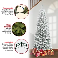 6ft. Unlit Flocked Acacia Medium Artificial Christmas Tree